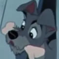 Tramp (Lady and the Tramp) Tramp (Lady and the Tramp)