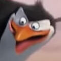 Rico (Madagascar Series) Rico (Madagascar Series)
