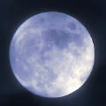 Moon Moon